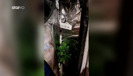 Φθιώτιδα: Εντόπισαν Ναρκωτικά Και Οπλοστάσιο