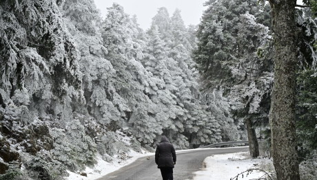 Καιρός: Με Χιόνια Τα Φετινά Χριστούγεννα