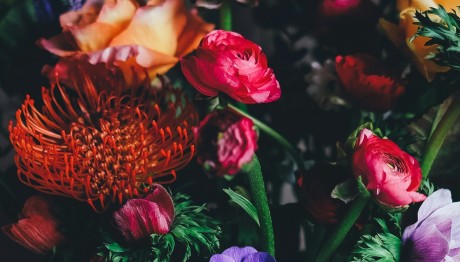 Εορτολόγιο