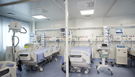 Ευλογιά Πιθήκων: 18 Κρούσματα Του Ιού Mpox Στην Ελλάδα