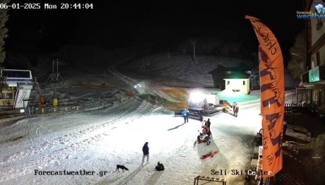 Σέλι: Κανένα Ίχνος Του 18χρονου Σκιέρ