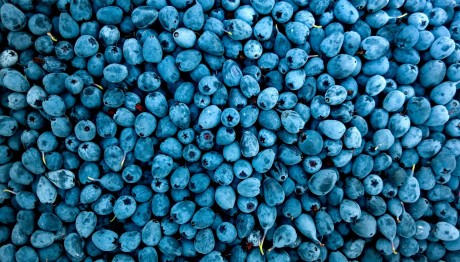 Οι τροφές που θα σε βοηθήσουν να «ξεφουσκώσεις»