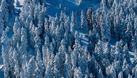Καιρός: Έρχεται Ψυχρή Εισβολή Με Χιόνια Και Κρύο