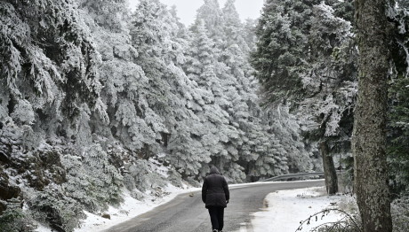 Καιρός: Πλησιάζει Ο Βαλκανικός Χιονιάς Που Φέρνει Χιόνια