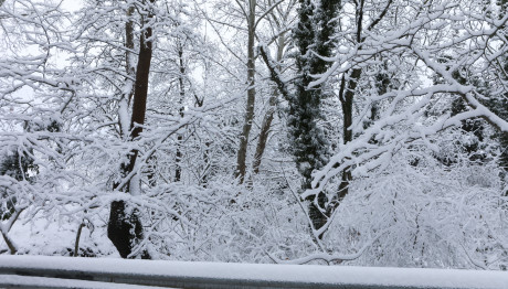 Νέο Έκτακτο Δελτίο Καιρού: Βουτιά 10 Βαθμών Της Θερμοκρασίας