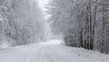 Τρία Πέντε Πηγάδια: Αποκλείστηκαν λεωφορεία στα χιόνια