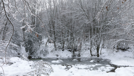 Έκτακτο Δελτίο Καιρού: Χιόνια Σε Χαμηλό Υψόμετρο Και Αύριο