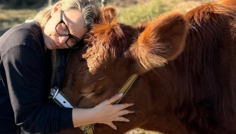 Κατρίνα Τσάνταλη