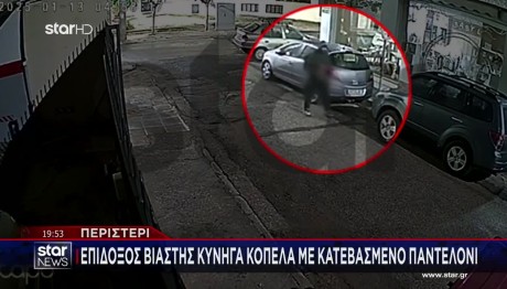 Περιστέρι: Η 22χρονη Στο STAR - Η Περιγραφή Του Επιδειξία