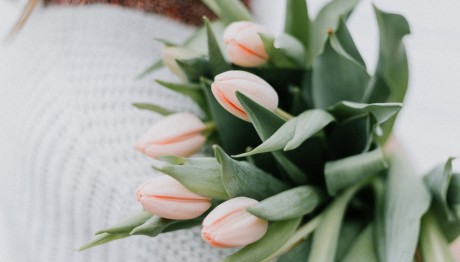 Εορτολόγιο 21 Iανουαρίου: Ποιοι γιορτάζουν σήμερα