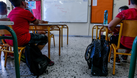 Δημόσια Ωνάσεια Σχολεία: Τι Είναι Και Πώς Θα Λειτουργούν