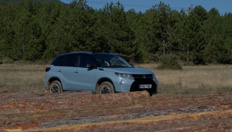 Suzuki: Δείτε πόσα αυτοκίνητα πούλησε στην Ελλάδα