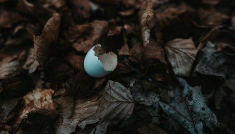 Ποιο είναι το πιο θανατηφόρο φαγητό στον κόσμο