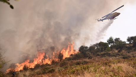 Φωτιά Στην Κόρινθο - Μεγάλη Κινητοποίηση