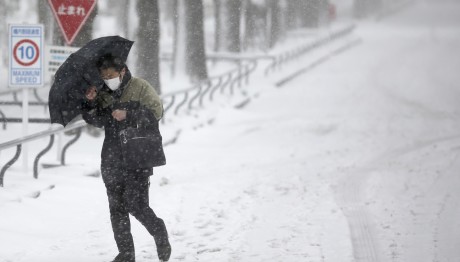 ΙΑΠΩΝΙΑ - ΧΙΟΝΟΘΥΕΛΛΑ