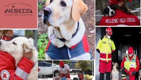 Ημερίδα με θέμα: Πρώτες βοήθειες σε σκύλους και διάσωση ζώων!