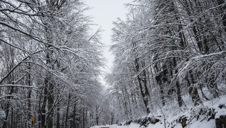 Καιρός: Χιόνια Στην Αττική Φέρνει Η Νέα Πολική Εισβολή