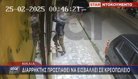 Νίκαια διαρρήκτης