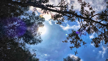 Καιρός: Ανοιξιάτικος Καιρός Με Λιακάδα Κι Άνοδο Θερμοκρασίας