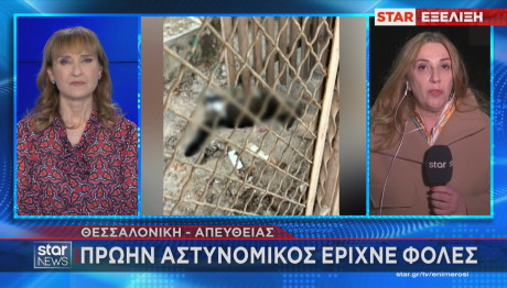 φόλες σε γάτες στη Θεσσαλονίκη