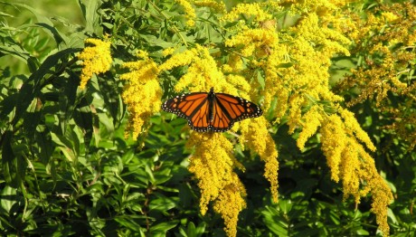 Εαρινή Ισημερία