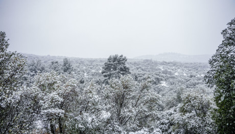 Καιρός: Από Τα Μπάνια, Στα... Χιόνια;