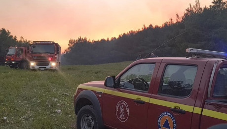 Φωτιά Στη Ζάκυνθο - Μαίνεται Σε Δασική Έκταση