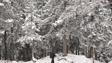 Καιρός: Έρχεται Ουκρανικός Χιονιάς Μετά Τη Ζέστη