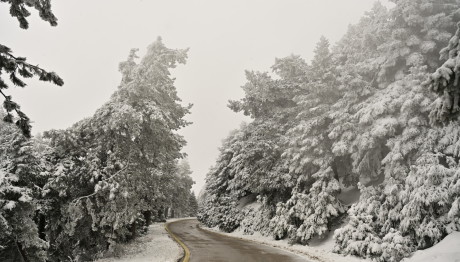Νέο Έκτακτο Δελτίο: Ξεκίνησαν Τα Χιόνια