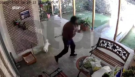 Μενίδι: Η Στιγμή Που Άνδρας Αρπάζει Σκυλάκι Από Αυλή