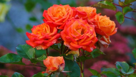 Εορτολόγιο 22 Μαρτίου: Ποιοι γιορτάζουν σήμερα