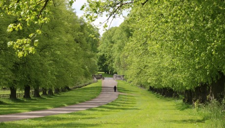 Ποιες Είναι Οι Πόλεις Με Το Περισσότερο Πράσινο
