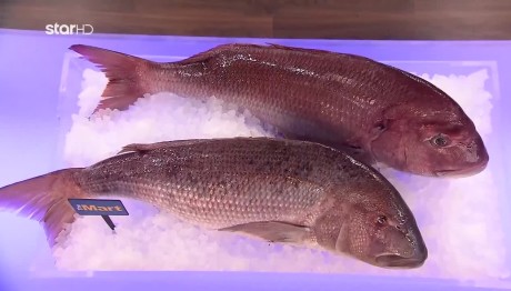 Φαγκρί και συναγρίδα περιέχει η σημερινή ομαδική δοκιμασία!