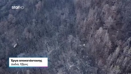 Motor Oil: Βραβείο Θεσμού Ανάδοχου Αποκατάστασης -Αναδάσωσης