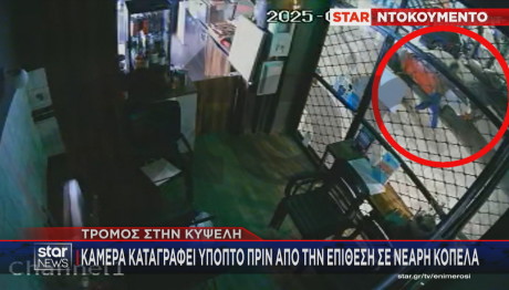 Κυψέλη