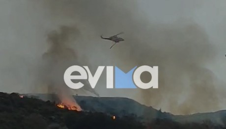 Μεγάλη Φωτιά Στην Κάρυστο