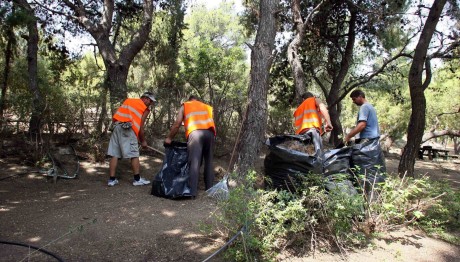 καθαρισμός οικοπέδων