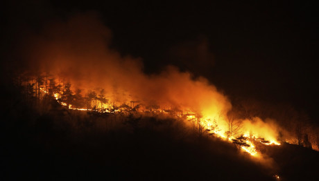 Νότια Κορέα: Η Βροχή Έσβησε Τις Πυρκαγιές - 28 Οι Νεκροί