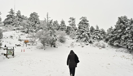 Καιρός: Έρχεται Σκανδιναβικός Χιονιάς