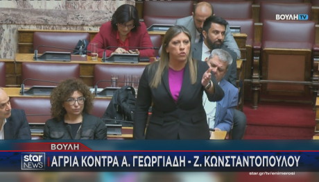 Ζωή Κωνσταντοπούλου