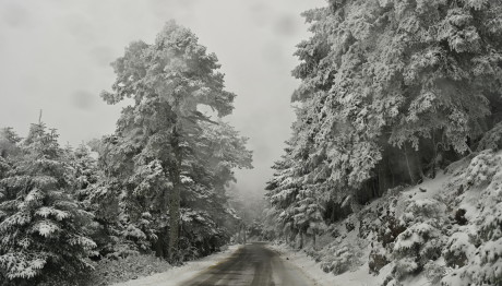 Καιρός: Χιονίζει Σε Θεσσαλονίκη, Φλώρινα, Κοζάνη, Καστοριά