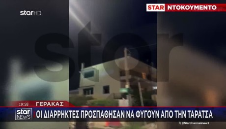 Γέρακας: Κινηματογραφική Καταδίωξη Διαρρηκτών