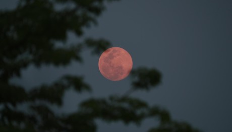 Πανσέληνος Απριλίου 2025: Πότε Θα Δούμε Το Ροζ Φεγγάρι