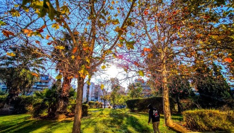 Καιρός: Ανοιξιάτικες Θερμοκρασίες Και Σκόνη