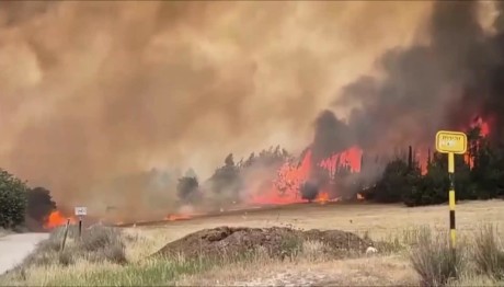 Φωτιές Ιερουσαλήμ: Εκκενώνονται Περιοχές - Έκλεισαν Δρόμοι