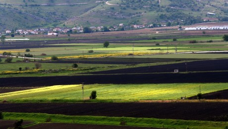 χωράφια οικόπεδα