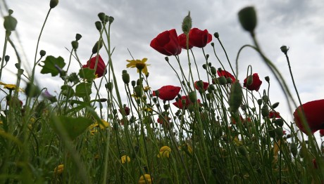 Καιρός: Πρωτομαγιά Με Καταιγίδες - Πότε Φτιάχνει