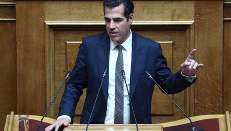 Θάνος Πλεύρης