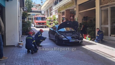 Λαμία: Φίδι Ενός Μέτρου Μέσα Σε Αυτοκίνητο