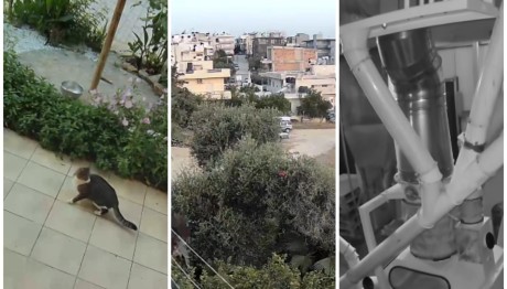 Κρήτη σεισμός